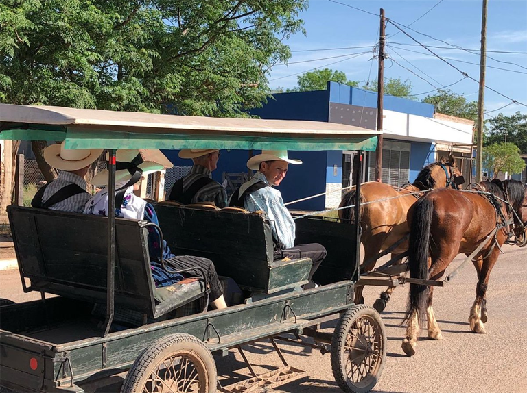 Los Mononitas La Pampa1